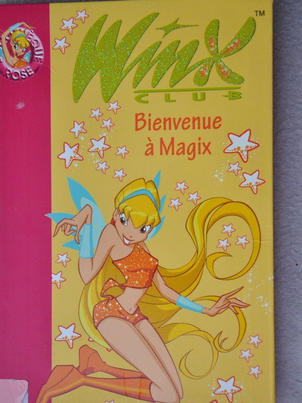 Libri: Winx : Bienvenue à Magix – Usato da Fully venduto da Minouchka