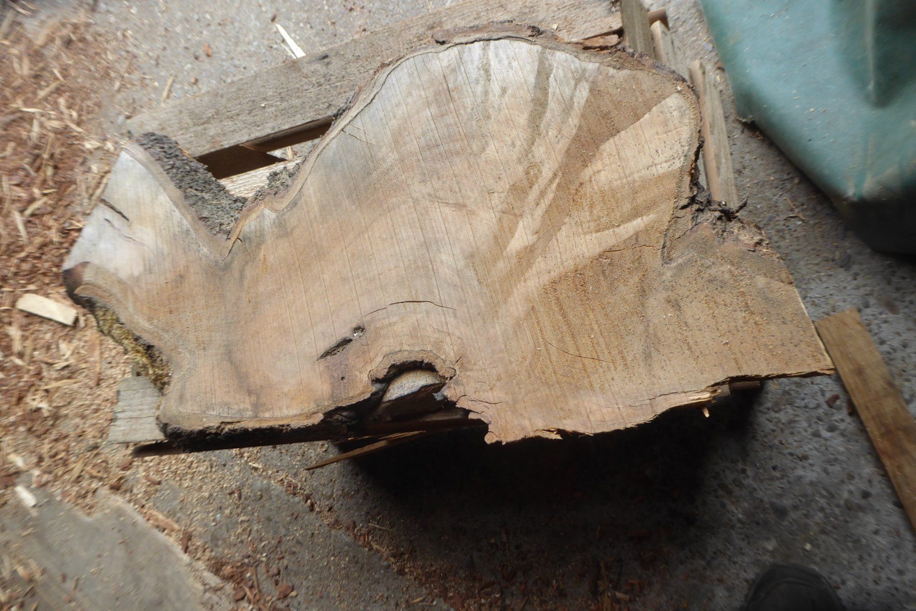 Holzartikel: Kirschbaumbrett – Neu (gemäss Beschreibung) aus Sumiswald von Hennri1