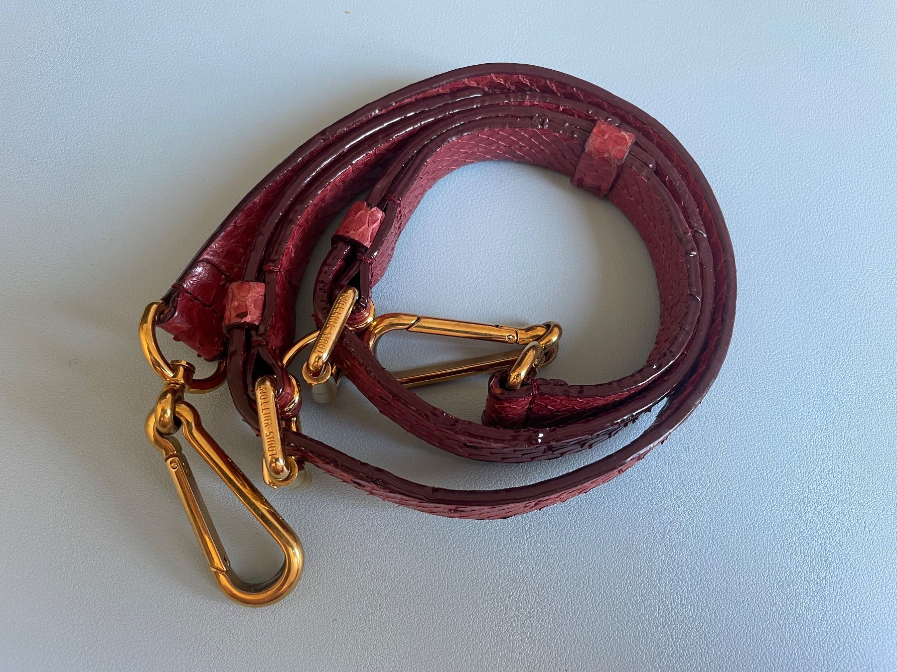 Louis Vuitton Altro in  Abbigliamento & Accessori: Louis Vuitton shoulder strap in reddish python leather – Usato da Baden venduto da ale_9jr2 1