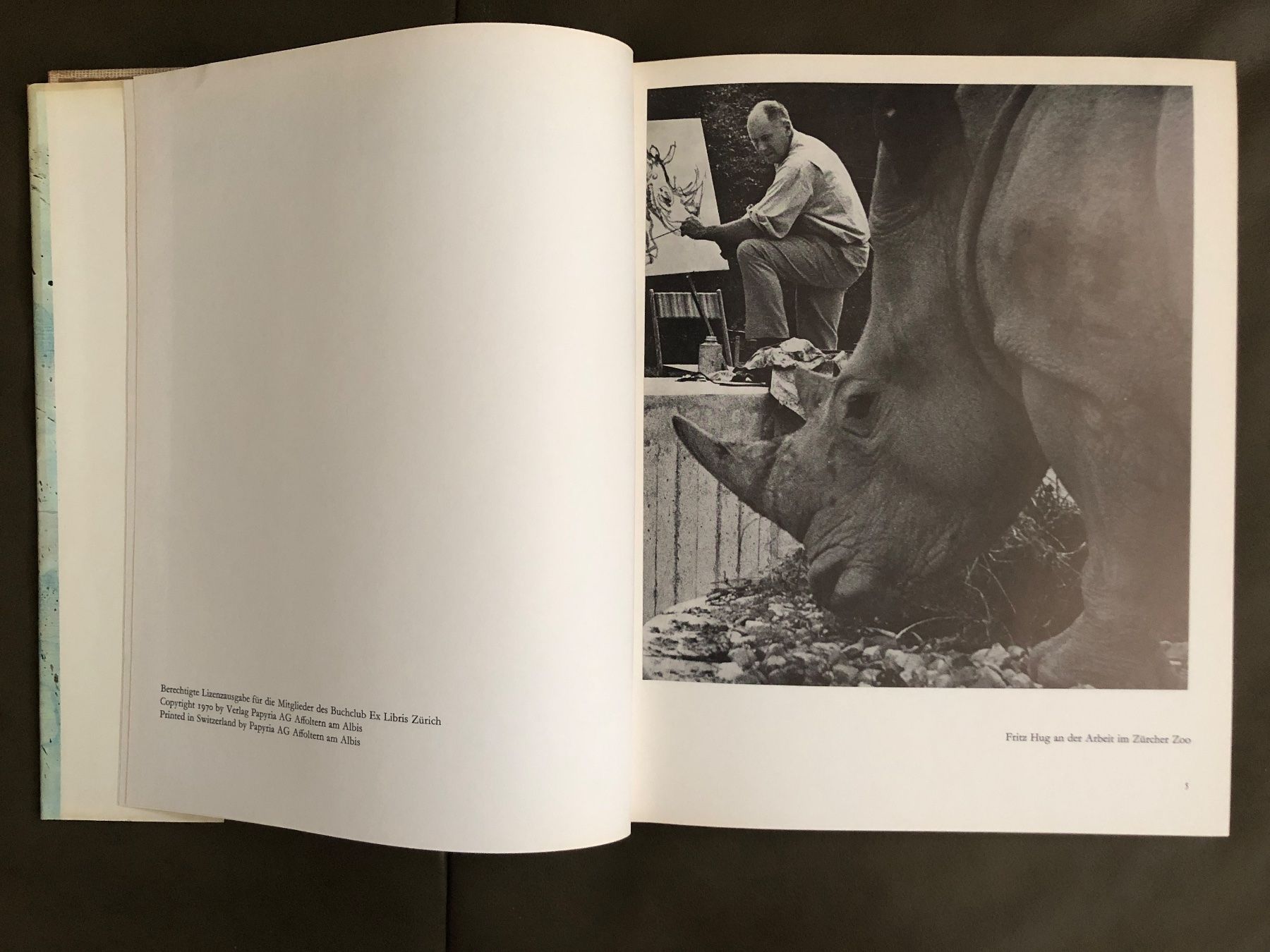 Libri: Buch Fritz Hug Maler der Tiere – Usato da Nunningen venduto da anclaudia 1