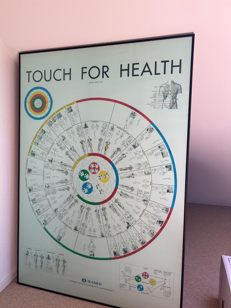 Liegen & Liegestühle: Massageliege + Kinesiologieplakat – Neu (gemäss Beschreibung) aus Zollikon von meeelissaa 2