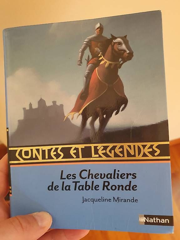 Libri: Les chevaliers de la table ronde – Usato da Apples venduto da denissafrany