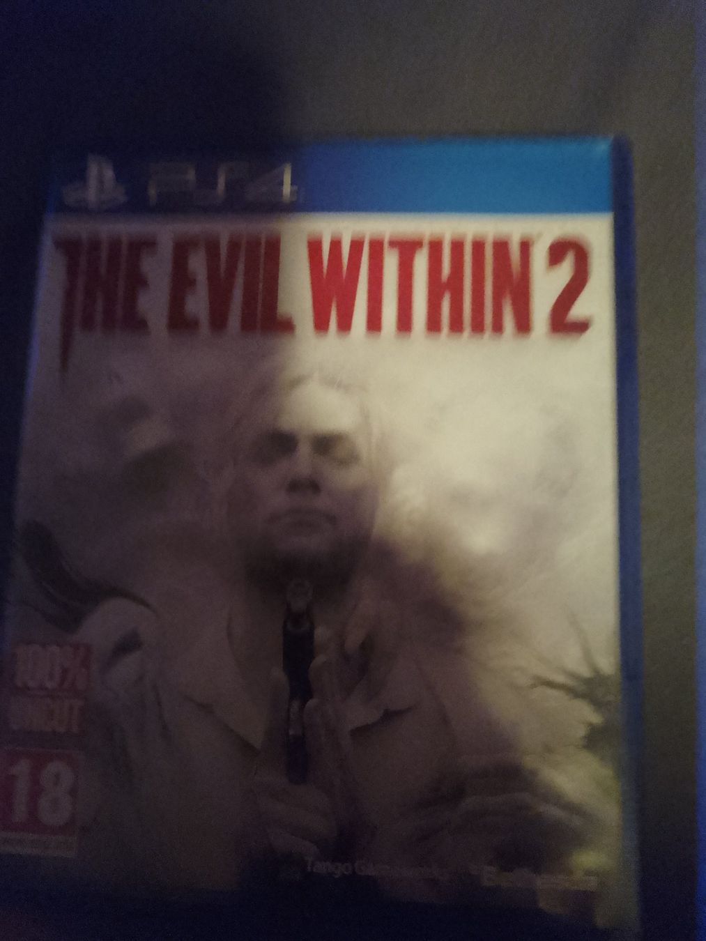 Giochi: The evil whitin PS4 – Usato da morschach venduto da fbgnfbdbchrigi