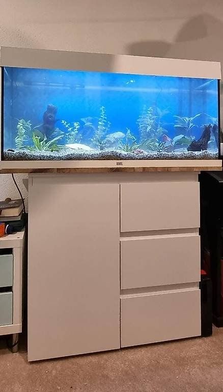 Eheim Acquari: Komplettes Juwel Aquarium 240l – Usato da Greifensee venduto da Thomy_008