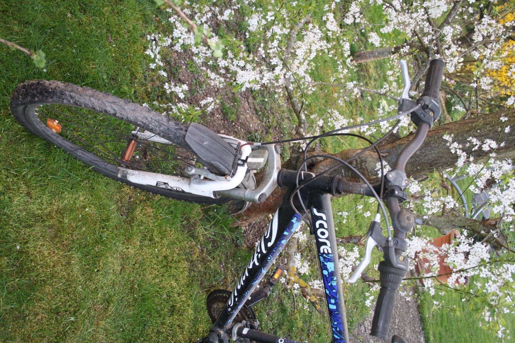 Velos: Kindervelo Score – Defekt aus Reinach BL von Runni 1