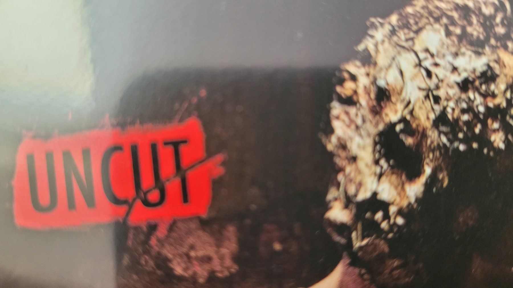 Alle DVDs: THE DARE - UNCUT – Gebraucht aus Neftenbach von Mador6 1