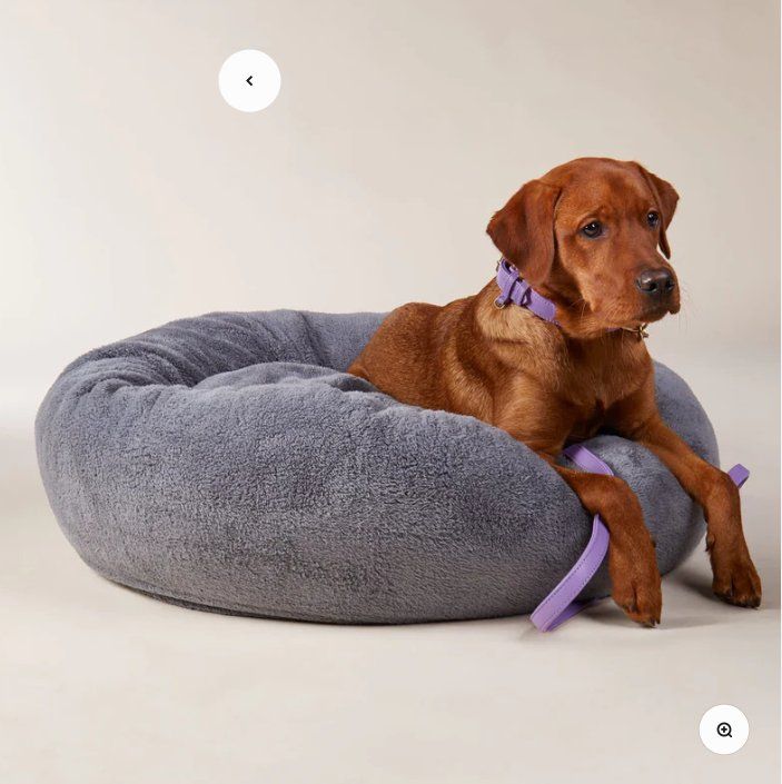 Cucce & Letti: Hundebett "William Walker" – Nuovo (secondo la descrizione) da Steckborn venduto da Algass