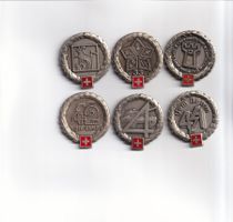 6 Silber Embleme