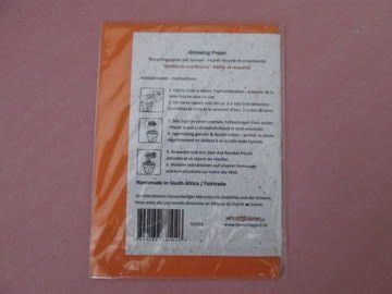 Cartoline: „Growing Paper" Grusskarte – Nuovo e nell'imballaggio originale da Neuchâtel venduto da Dualseele 1