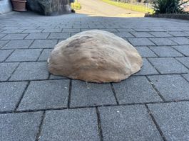 Naturholz Holzverwucherung