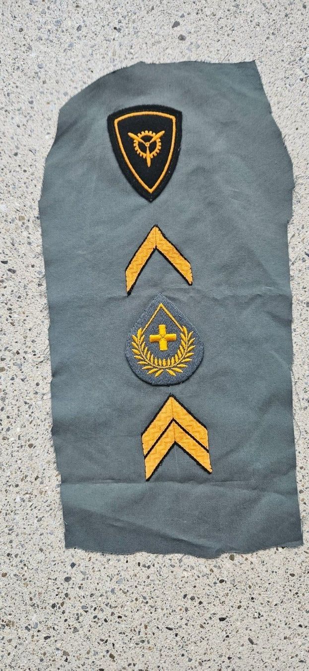 Schweizer Armee Placchette & Badge: *** Militär Abzeichen *** – Nuovo e nell'imballaggio originale da Riedholz venduto da fr_sIruP