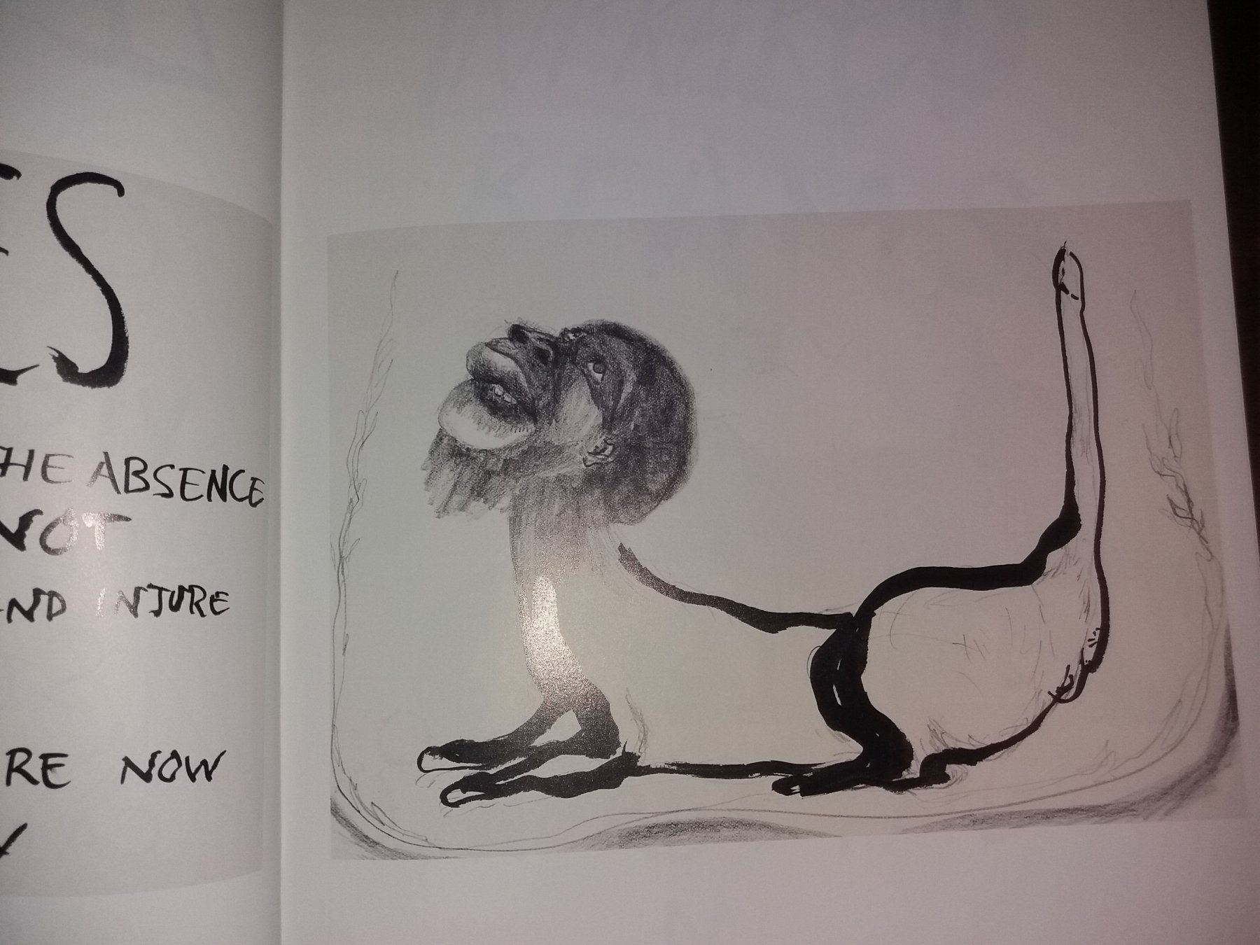 Livres: KUNSTKLASSIKER Kara Walker – D'occasion à Welschenrohr par Regool 3