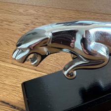 Profile image of jaguarmarsi