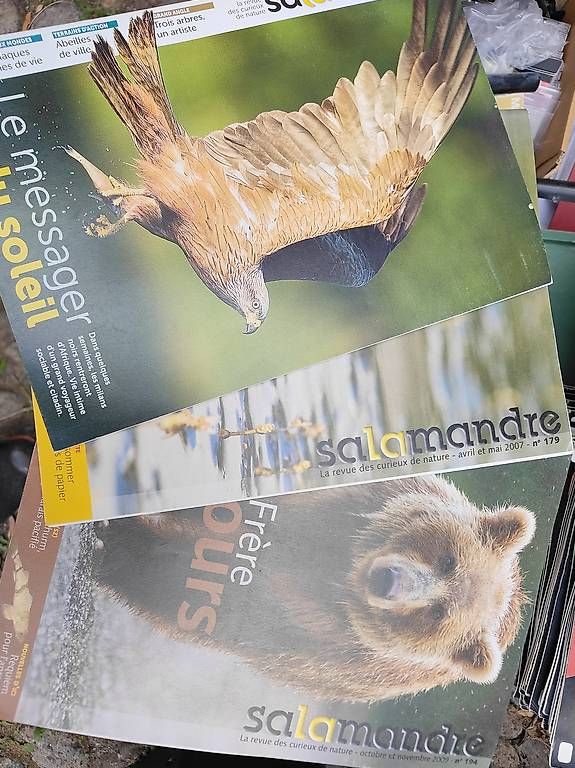 Zeitschriften & Magazine: Vends collection salamandre – Gebraucht aus Aubonne von Sebh74_ 1
