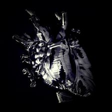 Profile image of markro01