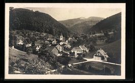 Eptingen, Ortsansicht aus der Vogelschau