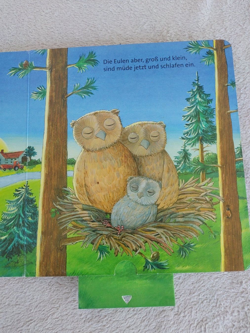 Libri: Buch: Abends, wenn der Mond aufgeht – Usato da Strengelbach venduto da Phorensic_30 4