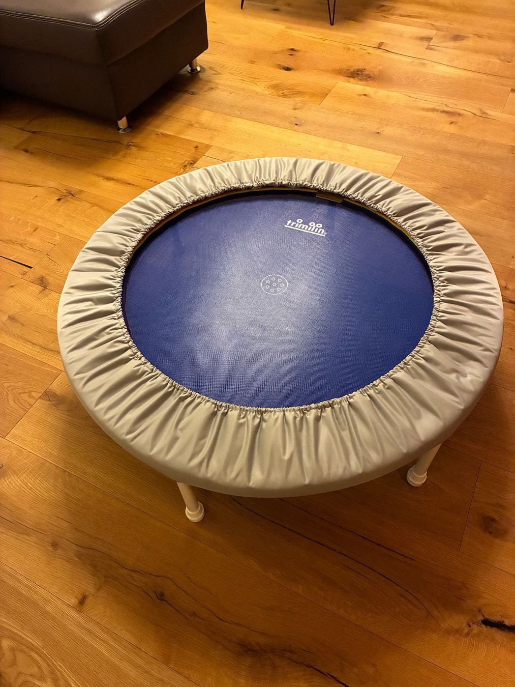 Trampoline: Trampolin Trimilin-med Top Zustand – Gebraucht aus Rothrist von Naetu 1