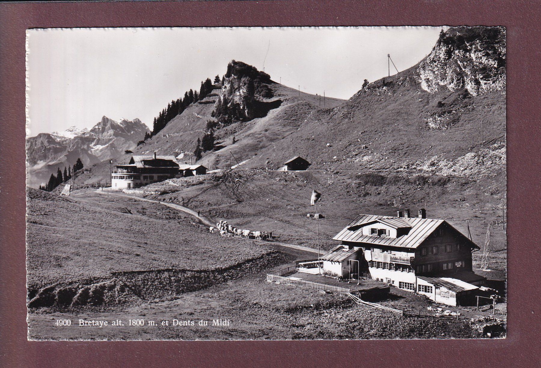 Cartoline postali: BRETAYE - Dents du Midi – Usato da Pully venduto da nicecards