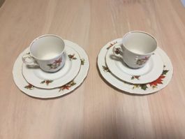 2 Teetassen mit Unterteller-Schirnding