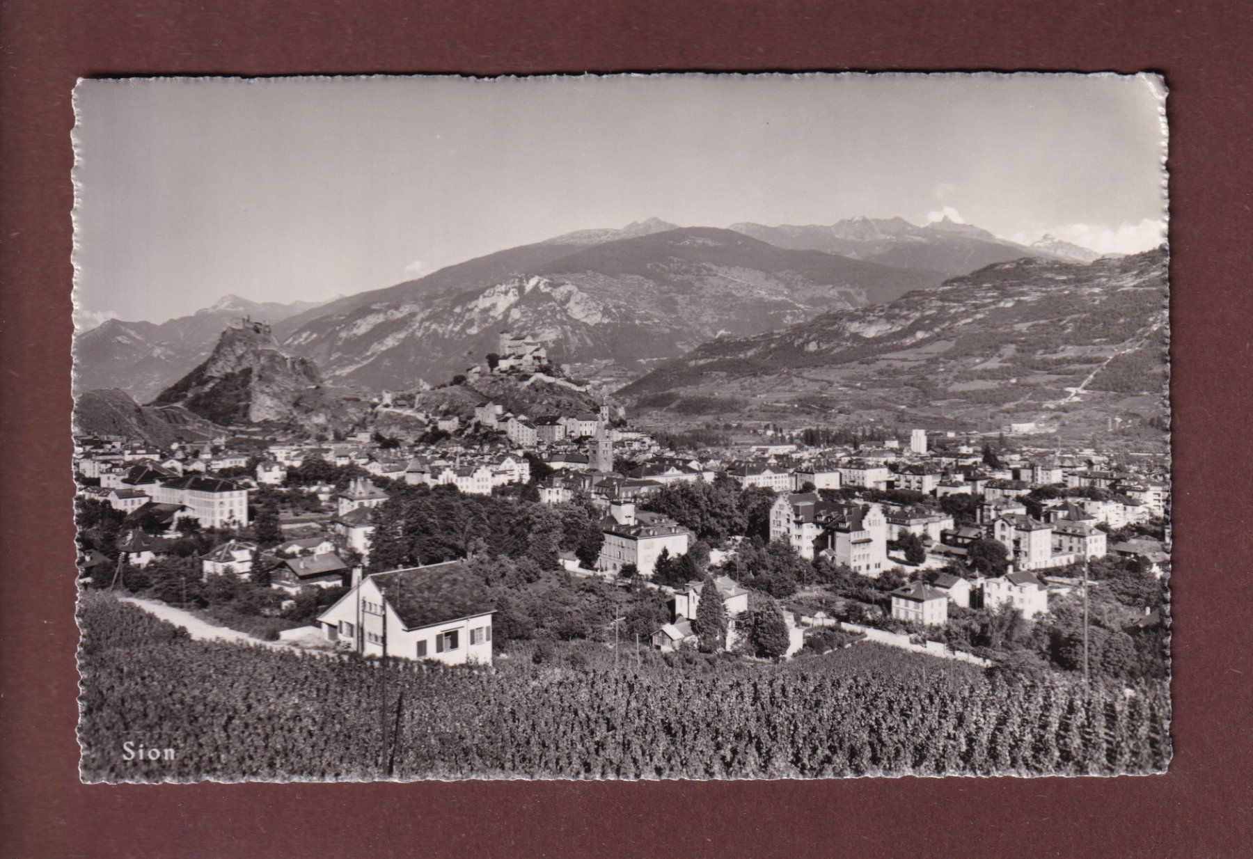 Cartes postales: SION – D'occasion à Pully par nicecards-shop