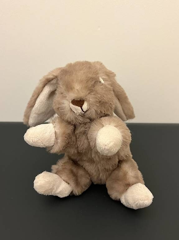 Spielzeuge: Inware Plush Bunny Rabbit – Gebraucht aus Auvernier von cai_9v9y