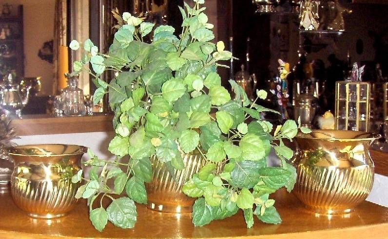 Vasi per fiori: Cache-pot. 3er Set anlaufgeschützt – Usato da Eschenbach venduto da Alicekunst 2