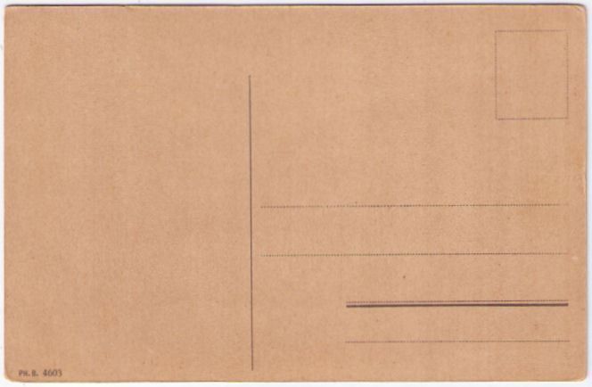Cartoline postali: Montreux - Territet – Usato da Binningen venduto da Mountainrider 1