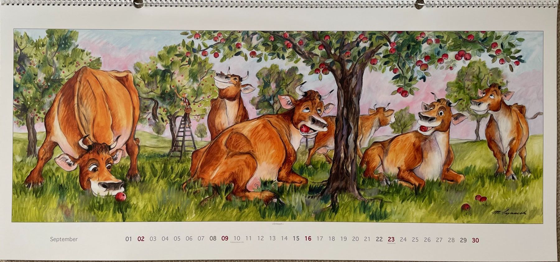 Calendari: Synacek Kalender – Usato da Rümlang venduto da Boehneli7 9