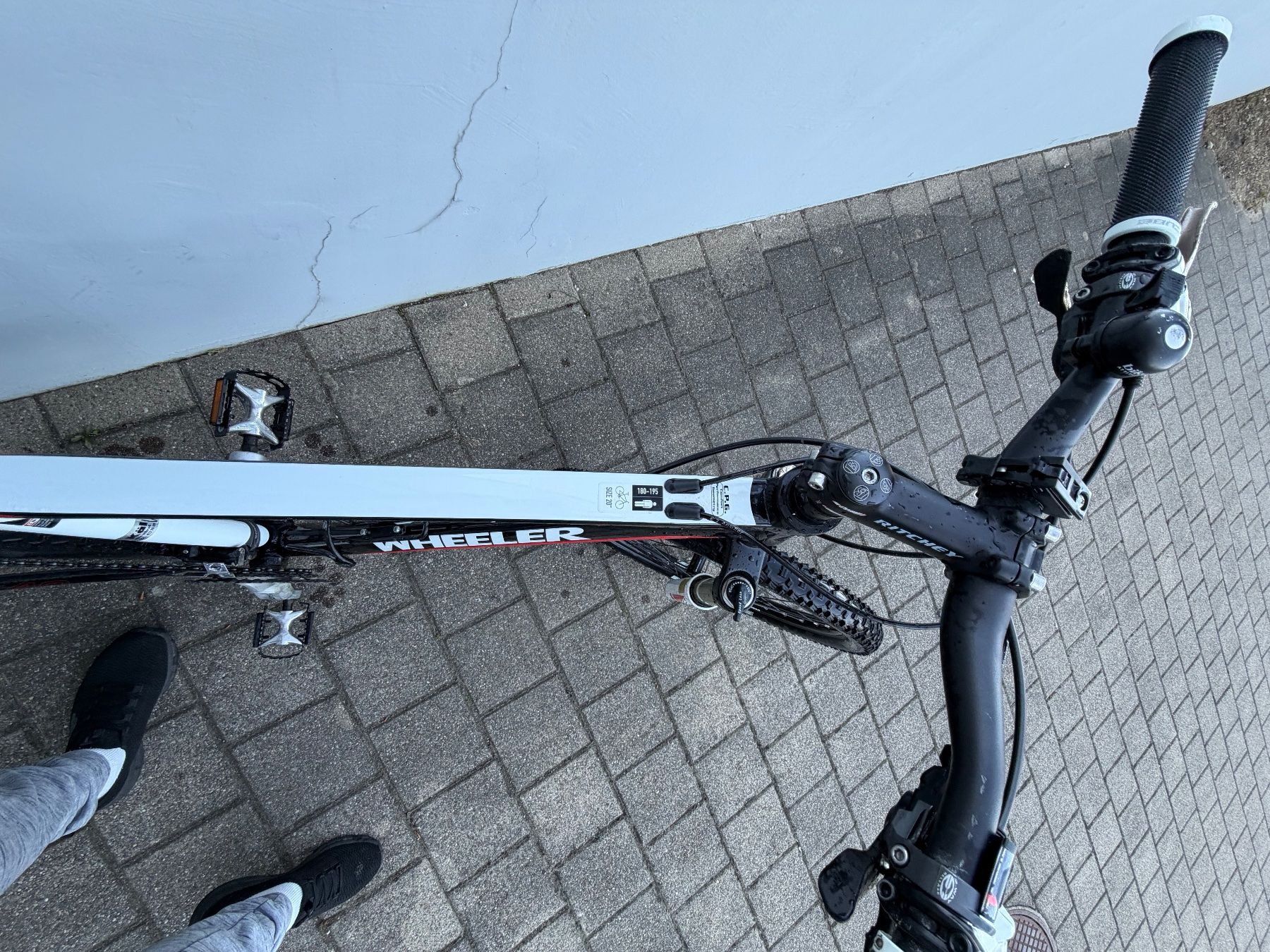 Vélos: wheeler 40 eagle – D'occasion à Adliswil par Seatpowe 3