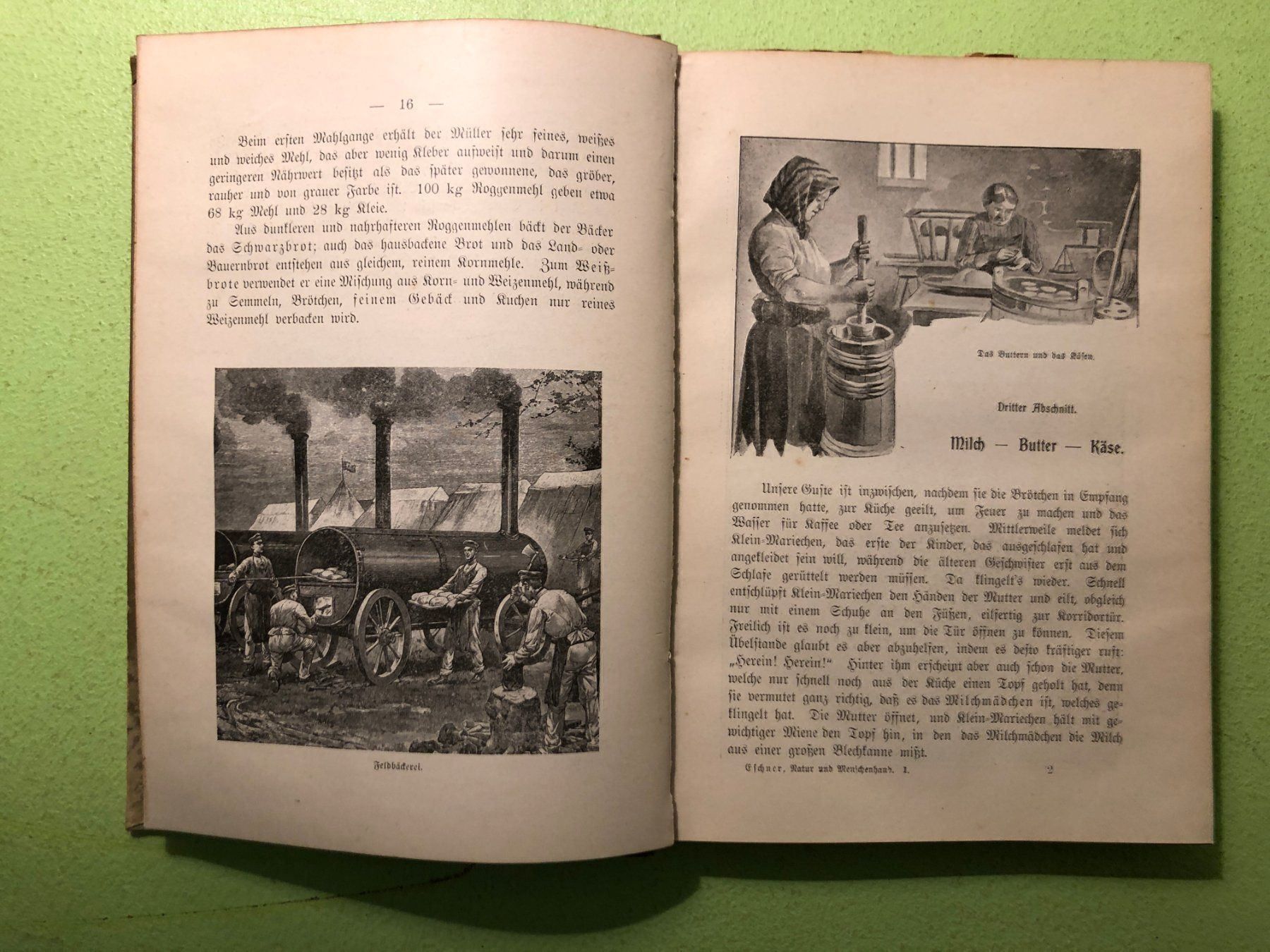 Libri: Max Eschner: Natur und Menschenhand – Usato da Zürich venduto da allp 3