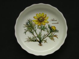 Kleine feuerfeste Form * BOTANICA * von Villeroy & Boch