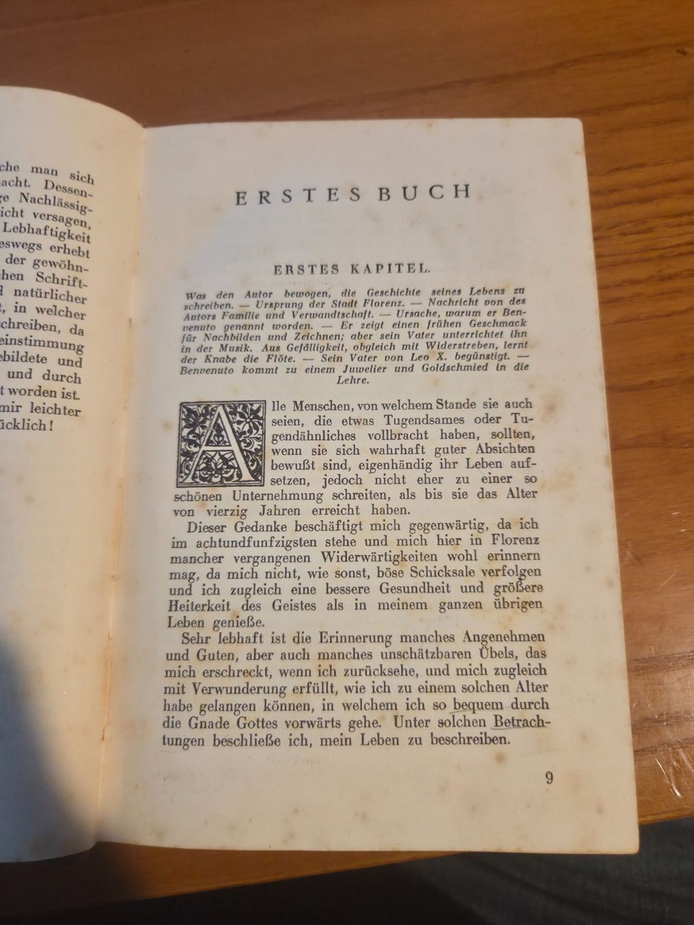 Libri: Cellini – Leben – Goethe – Halbleder 1924 – Usato da Aldesago venduto da lusuardi 6