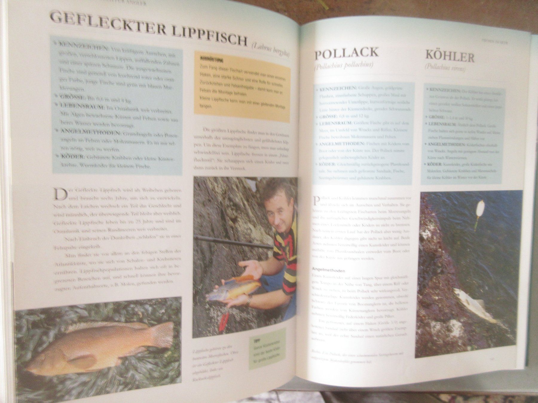 Libri: Das grosse Buch für Angler – Usato da Madiswil venduto da Mamaro 4