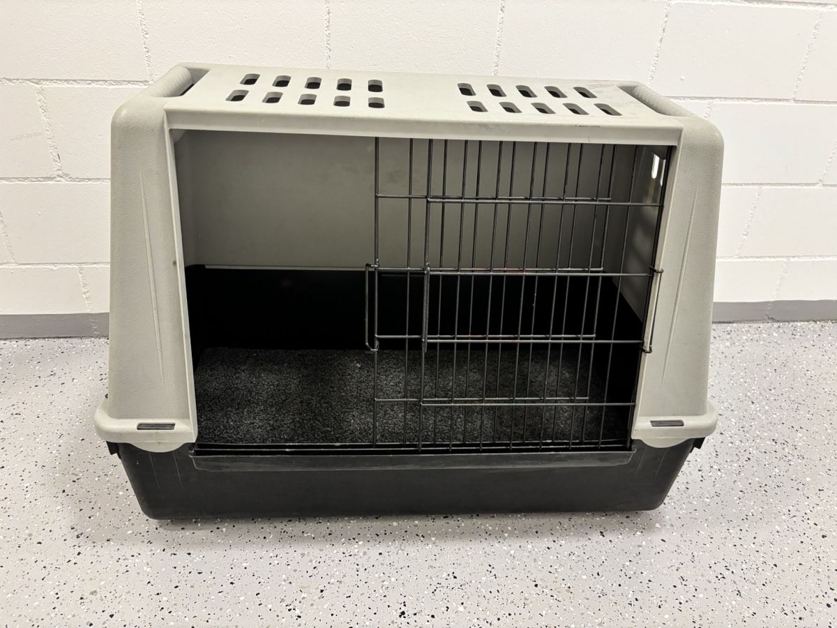 Cucce & Letti: Stabile Transportbox für Hunde oder Katzen – Usato da Neunkirch venduto da autoscooter57