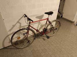 Uto Citybike Fahrrad Velo
