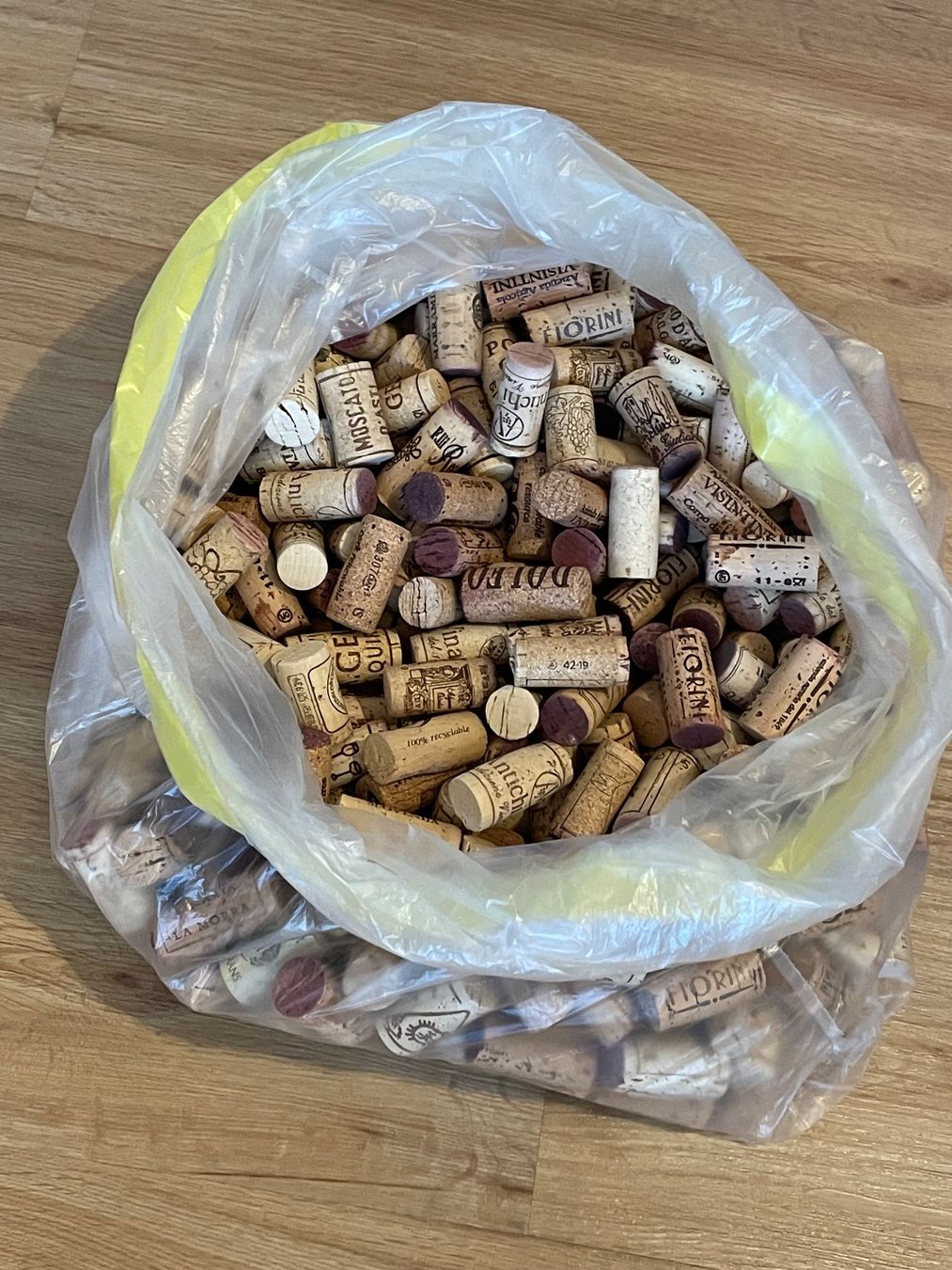 Tire-bouchons & Bouchons: Korkzapfen (gebraucht) – D'occasion à Seedorf UR par Vita000
