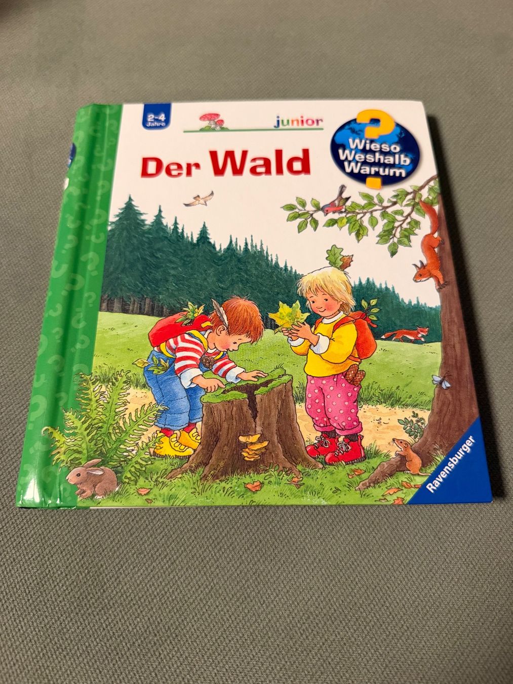 Libri: Wieso Weshalb Warum - Der Wald – Usato da Bubendorf venduto da glitchCat