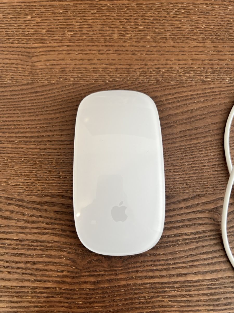 Apple Mouse: Apple Magic Mouse – Usato da Sempach Station venduto da Lembo92