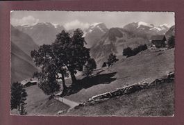 Am Weg zur BRAUNWALD-ALP