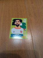 Panini JOR18