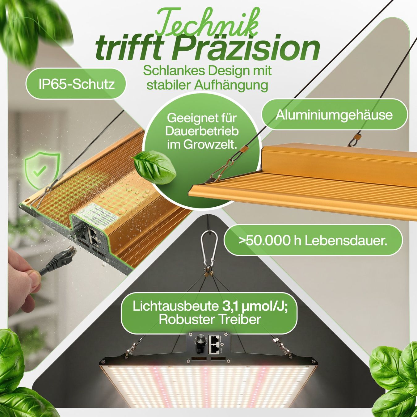 Lampen: Peralux QB-JT240 Quantum Board LED Grow Light Panel 240Watt – Neu und originalverpackt aus Rietheim von PeraLux 8