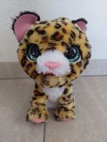 Hasbro kleiner Tiger interaktiv neu
