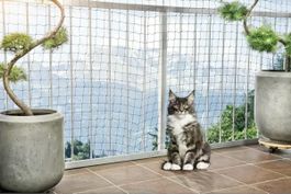 Katzenschutznetz / Balkonnetz / Gartennetz