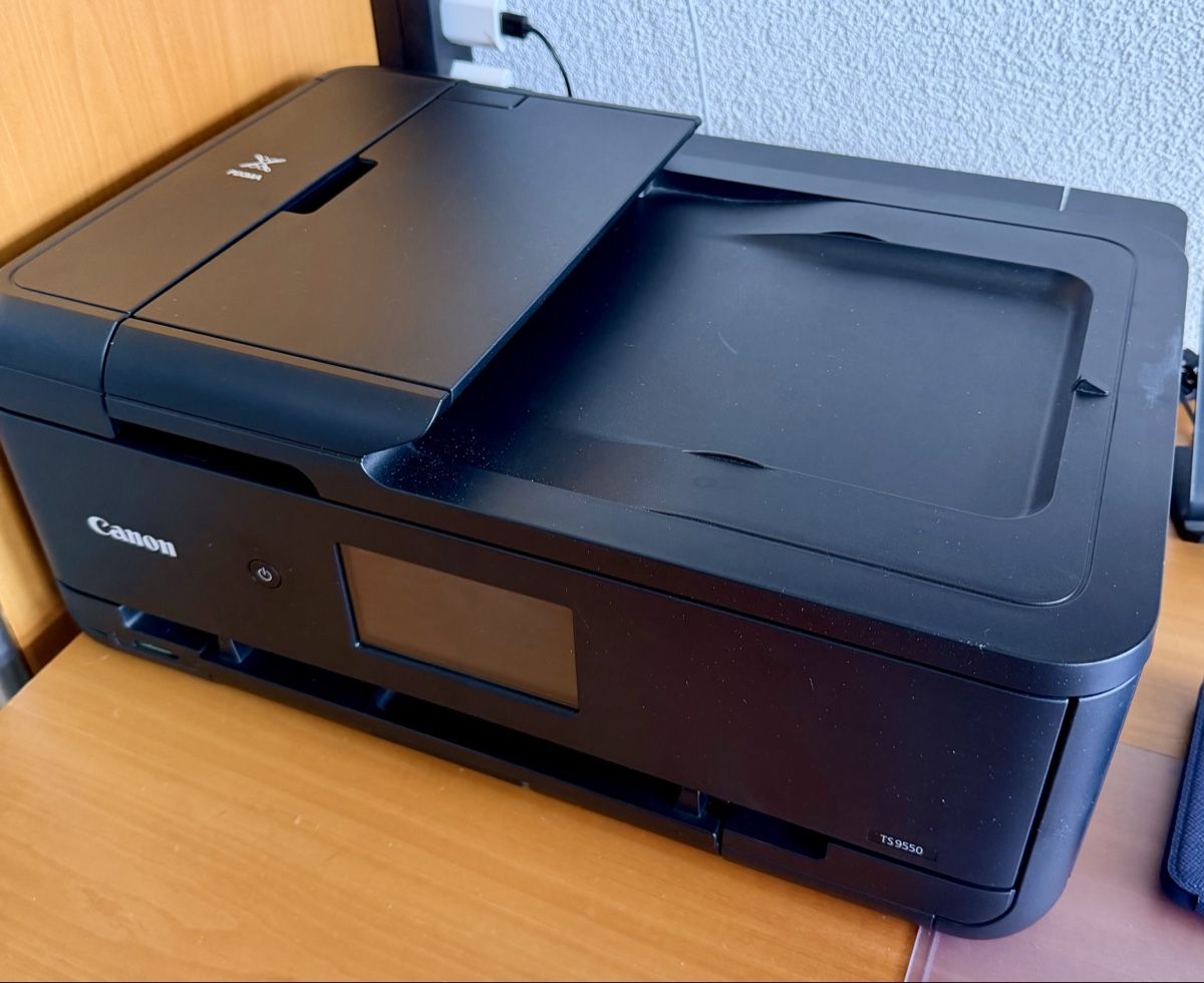 Canon Stampanti: Fotodrucker Canon TS9550 & Patronen – Usato da Birmensdorf ZH venduto da bru_b8qx