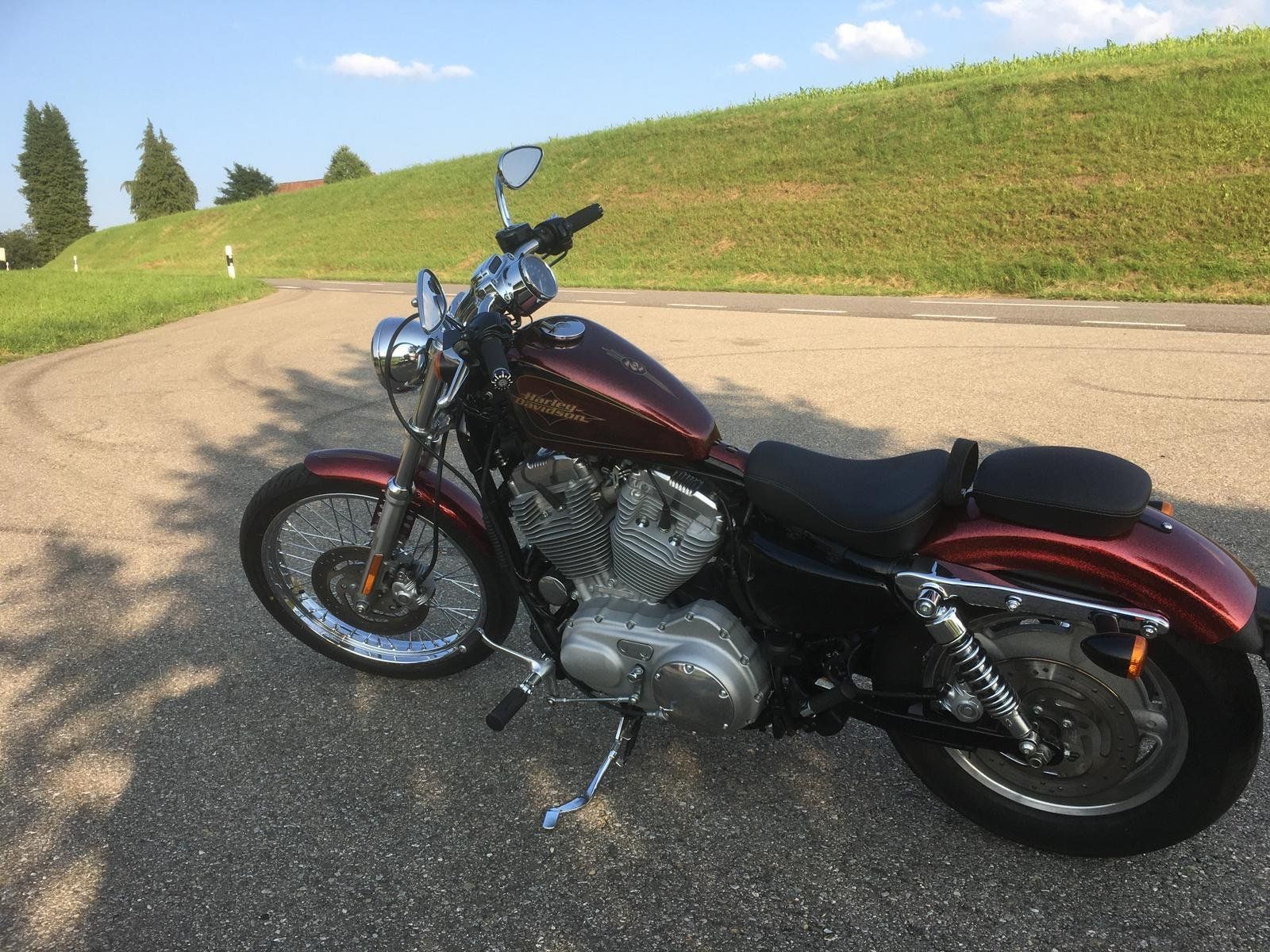 Harley-Davidson Chopper: HARLEY-DAVIDSON XL883C 25kW – Usato da Wil SG venduto da Prof.Eich 3