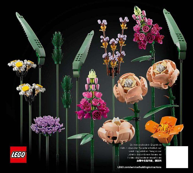 Lego Giocattoli: LEGO 10280 - Bauanleitung – Usato da Wetzikon ZH venduto da Bambiskus