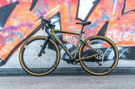 Rose Backroad evil pepper green, 53 cm