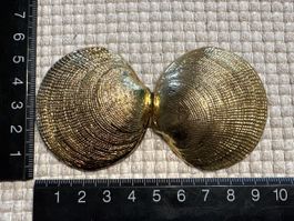 Gürtelschnalle mit Muschel Form