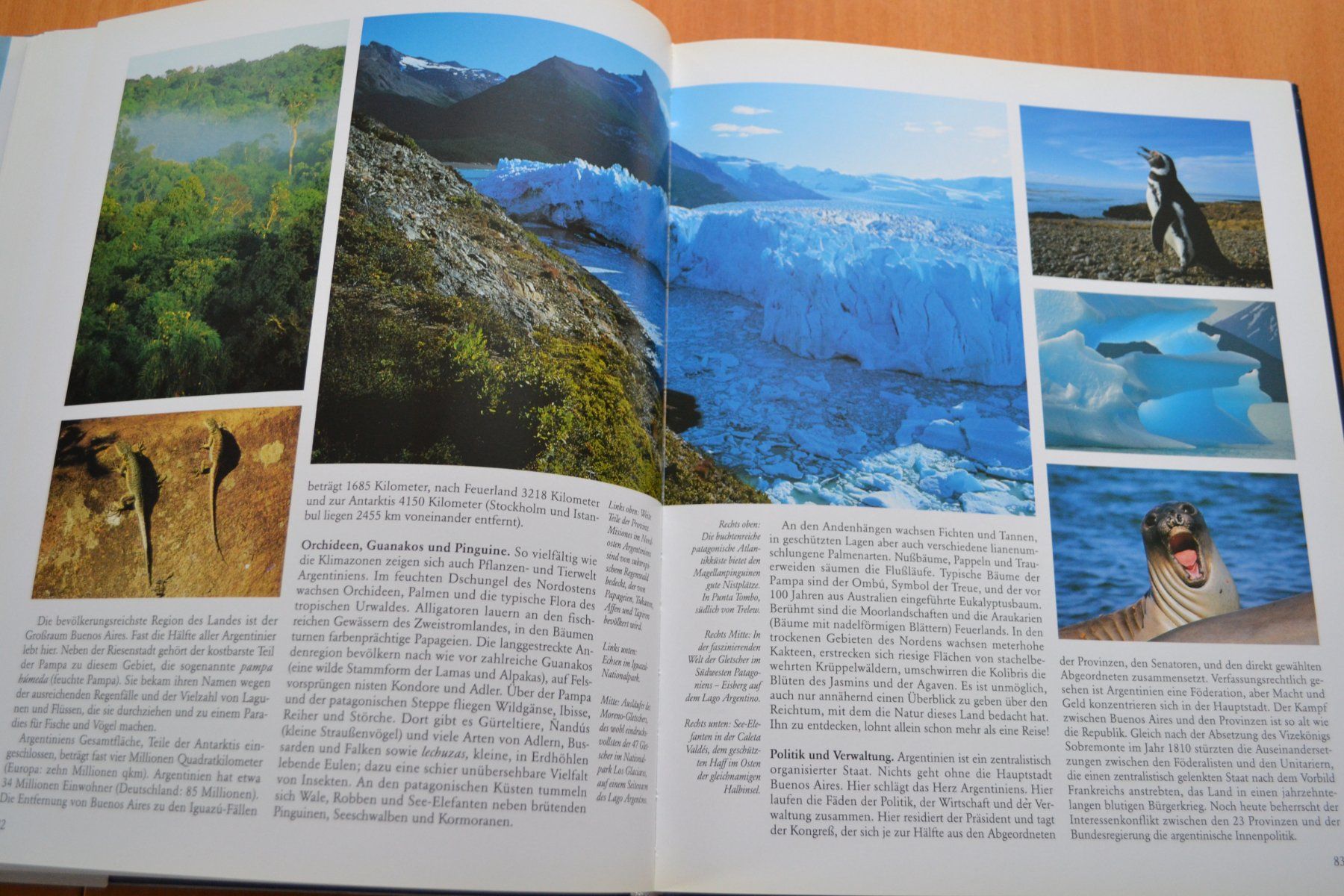 Libri: Buch Argentinien 160 Seiten – Usato da Beinwil am See venduto da kajak55 5